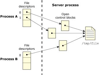 Figure showing processes opening the same file